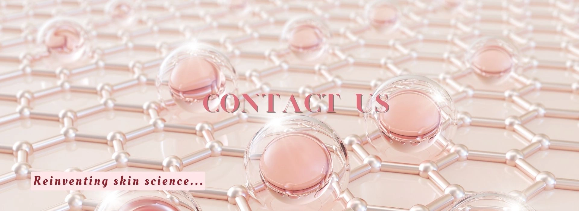 contact-us